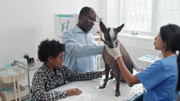 Homem Afro Americano Com Seu Filho Mostrando Seu Cão Veterinário — Vídeo de Stock