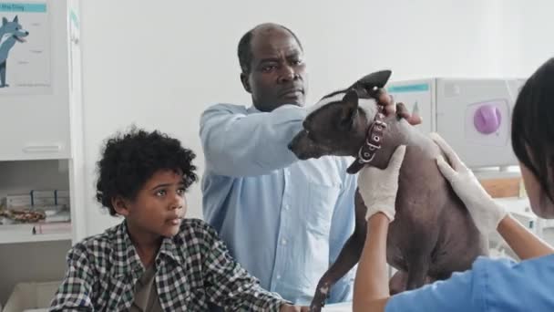 アフリカ系アメリカ人の男性は 診療所での診察中に獣医師に犬について質問する — ストック動画