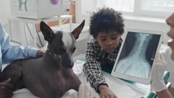 Afrika Kökenli Amerikalı Bir Adam Kliniğe Giderken Veteriner Doktorla Köpeğinin — Stok video