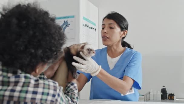 Ragazzino Afroamericano Mostrando Suo Furetto Medico Veterinario Clinica Lei Esaminandolo — Video Stock