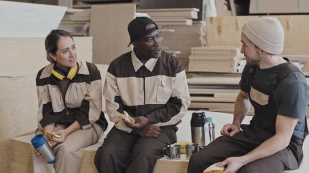 Groep Multi Etnische Mannelijke Vrouwelijke Werknemers Die Sandwiches Eten Met — Stockvideo