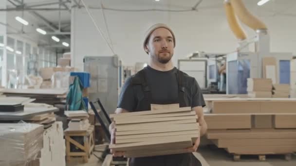 Waist Shot Worker Carrying Stack Plywood Planks Furniture Factory Warehouse — Stock Video