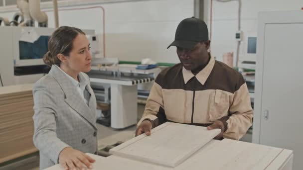 家具工場で働いている間 アフリカ系アメリカ人労働者は白人女性マネージャーに木製板について話しています — ストック動画