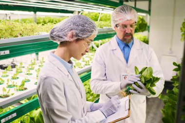 Genç bayan bilim adamı, erkek meslektaşının karşısında dikey çiftlikte elinde ıspanak tutarken belgeye notlar yazıyor.