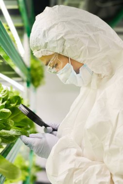 Genç bayan bilim adamının koruyucu örtüleri içinde serada yeni bir tür ıspanak çalışırken büyüteç kullanışının yan görüntüsü