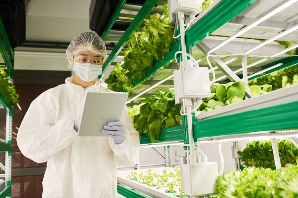 身穿防护服和面罩的年轻生物学家在网上浏览有关垂直农场新型绿叶蔬菜的信息 — 图库照片