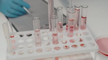 Close-up of gloved hand of experienced clinician or virologist taking flasks with liquids out of white plastic stand and putting them back during scientific experiment