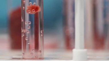 Kimya laboratuarındaki bilimsel deney sırasında içinde şeffaf köpüklü sıvı ve laboratuvar ortamında yetişmiş küçük et parçaları bulunan şişe parçası test tüpünün dibine düşüyor.