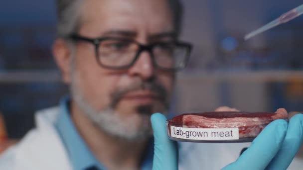 안경에 심각한 과학자 페트리 접시에 실험실 고기의 상단에 물질의 방울을 — 비디오
