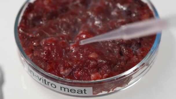 Vitro Vegan Gıdalarla Yapılan Yeni Bilimsel Deney Sırasında Petri Kabı — Stok video