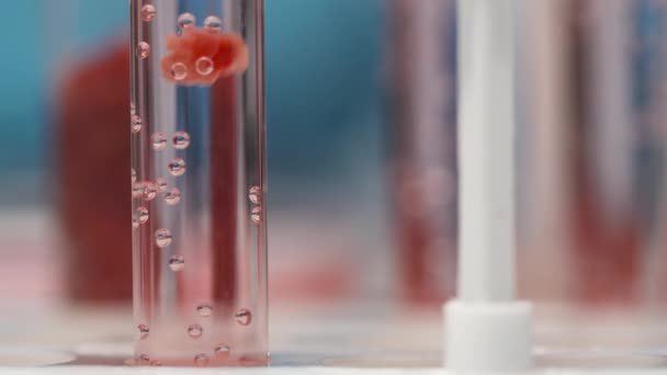 化学实验室科学实验期间 装有透明液体和少量实验室生肉的瓶中的一部分落在试管底部 — 图库视频影像