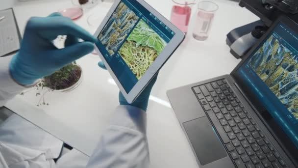 Zbliżenie Rękawiczki Męskiego Biotechnologa Wolumizującego Obraz Komórki Roślinnej Ekranie Tabletu — Wideo stockowe