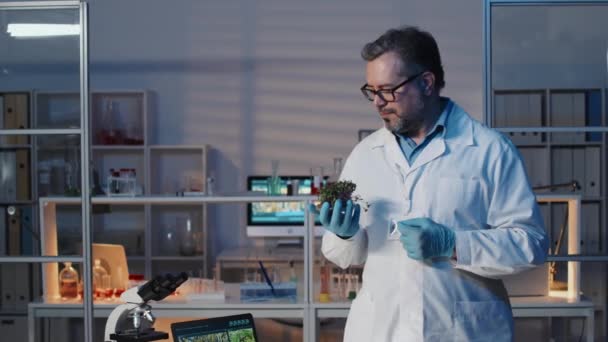 Úspěšný Zralý Mikrobiolog Laboratorním Plášti Rukavicích Brýlích Při Pohledu Kamery — Stock video