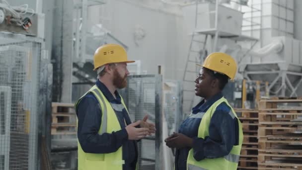 会話を持つ工場のワークショップで一緒に働く成熟した白人男性と黒人女性の側面ビュー — ストック動画