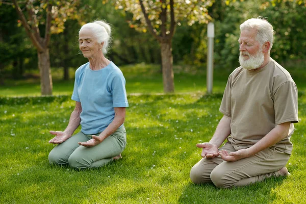 夏季的早上 积极的老夫妇在绿色草坪上练习瑜伽时 身穿活动服 双膝跪下 手掌张开 — 图库照片