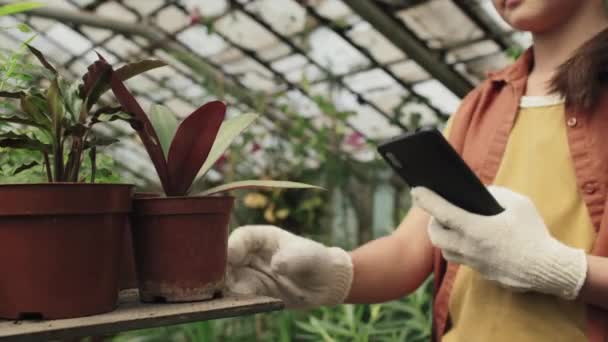 在温室工作的少女在智能手机上拍摄室内植物照片的选择性焦点 — 图库视频影像