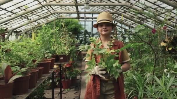 Kafkasyalı Elbiseli Şapkalı Genç Kız Saksıda Bitki Tutuyor Serada Durmuş — Stok video