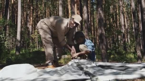 Afrikkalainen Amerikkalainen Isoisä Hänen Pojanpoikansa Viettävät Viikonlopun Yhdessä Metsässä Pystyttämässä — kuvapankkivideo