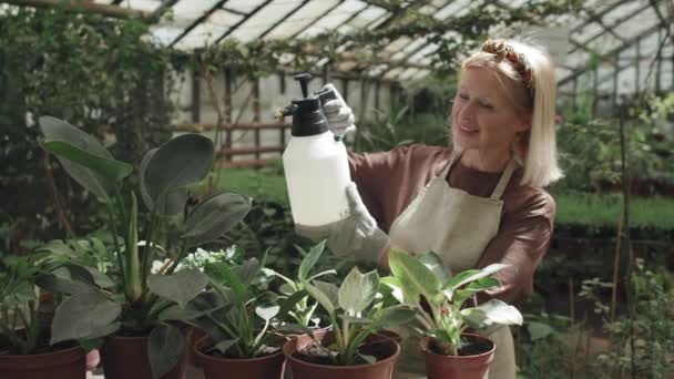 温室スプレー植物の葉で働くブロンドの髪を持つ楽しい成熟した白人女性 — ストック動画