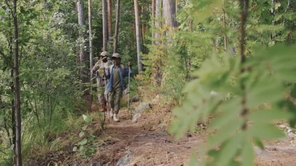 アフリカ系アメリカ人の祖父と孫がトレッキングポールを使用して山林で一緒にハイキング — ストック動画