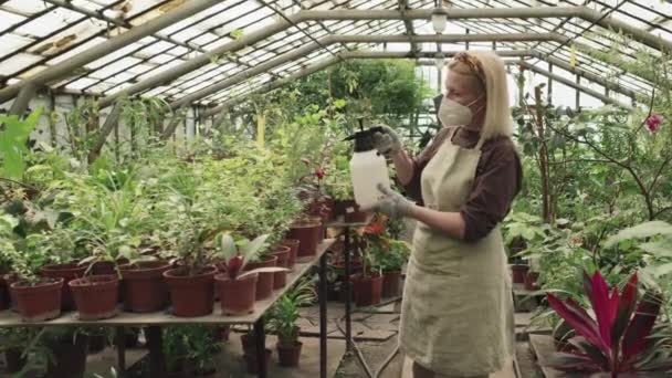 Femme Âgée Portant Masque Respiratoire Protection Pulvérisation Plantes Pot Avec — Video