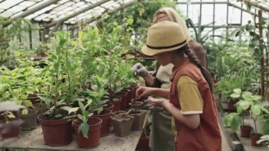 Genç kız büyükannesiyle vakit geçirip seradaki küçük saksılara çiçek tohumları ekiyor.