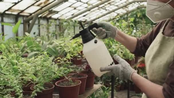 Donna Matura Indossando Maschera Respiratore Trattare Piante Serra Con Pesticidi — Video Stock