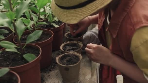 認識できない女性と少女は 温室に土が付いている小さな鍋に花の種を植えます — ストック動画