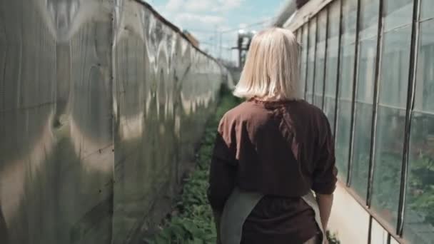 Снимок Пожилой Женщины Фартуке Идущей Саду Оранжереями — стоковое видео