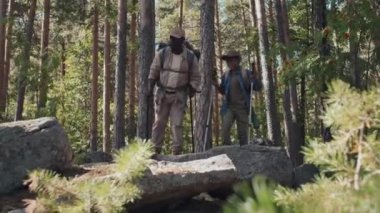 Mutlu Afrika kökenli Amerikalı büyükbaba ve torununun yaz günü birlikte yürüyüş yapması, dağın tepesini görünce heyecanlanması.