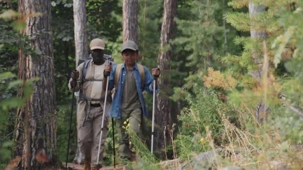 Современный Афроамериканец Старший Мужчина Ребенок Проводят Выходные Вместе Походах Горах — стоковое видео