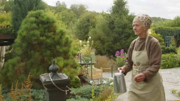 Önlük Mendil Takan Yaşlı Bir Kadın Köy Evinin Arka Bahçesinde — Stok video