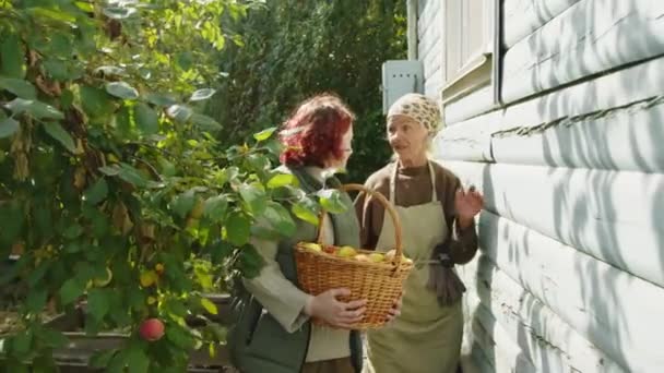 Plan Suivi Génération Fille Tenant Panier Osier Plein Pommes Mûres — Video