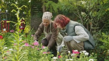 Modern nesil Z kızı yaşlı büyükannesiyle güneşli bir günde bahçeyi temizlemesine yardım ediyor.