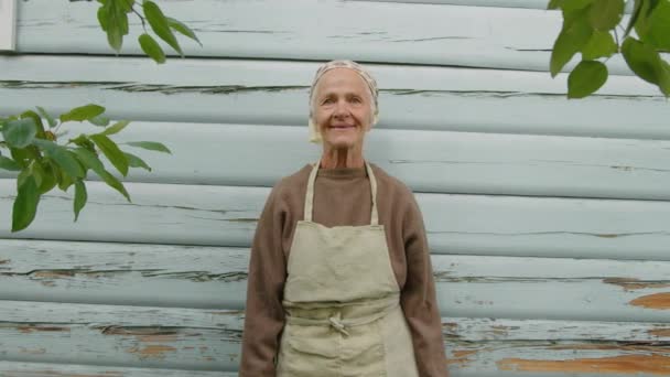 カメラで笑顔の木製カントリーハウスの壁に立ってエプロンとケルチフを身に着けている白人のおばあちゃんのミディアム肖像 — ストック動画