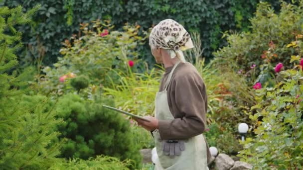 庭で働いている間にデジタルタブレットを使用して頭にエプロンとケルチーフを身に着けている現代のおばあちゃんの中型ショット — ストック動画