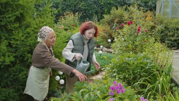 Modern Nesil Kızı Yaz Gününü Büyükannesine Bahçedeki Çiçekleri Sulamasında Yardım — Stok video
