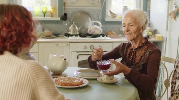 그녀의 할머니 할머니 개념과 시간을 보내고 인식할 여자의 선택적인 — 비디오