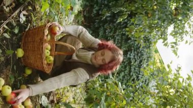 Sonbahar günü bahçeden düşen elmaları toplayan beyaz bir kızın dikey çekimi, çiftçi kavramı.