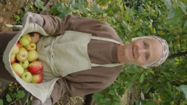 Kafkasyalı büyükannenin dikey portresi kırsal bir bahçede elinde elmalarla kameraya bakıyor.