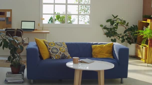 Повний Знімок Порожньої Світлої Вітальні Синій Диван Жовтими Подушками Центрі — стокове відео