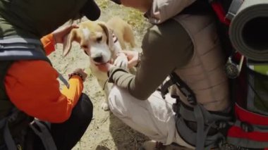 Sırt çantalı iki Asyalı kadın turistin ellerini yalarken yaklaş. Arkadan görülen iki genç kadın, evcil köpek, kulağına dokunuyor, patilerini sallıyor, güneşli bir hava var.