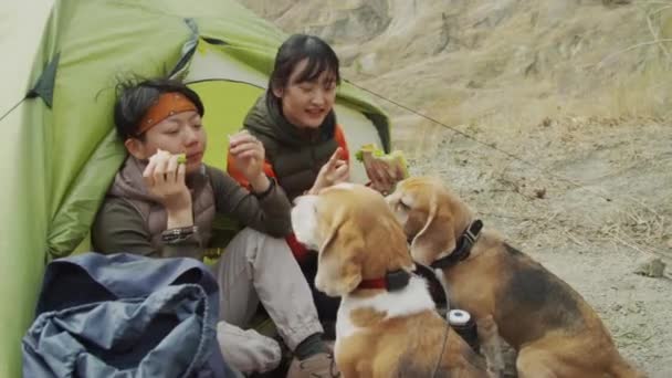Pełne Ujęcie Dwóch Azjatyckich Przyjaciółek Jedzących Lunch Przy Wejściu Namiotu — Wideo stockowe