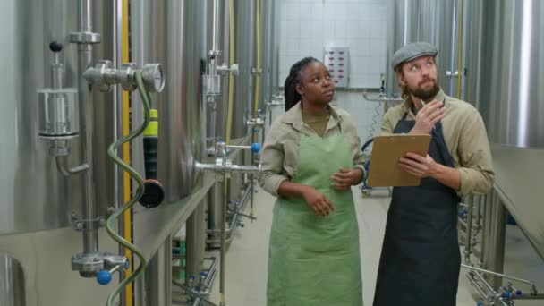 Plan Large Moyen Deux Employés Brasserie Multiethniques Masculins Féminins Tenant — Video