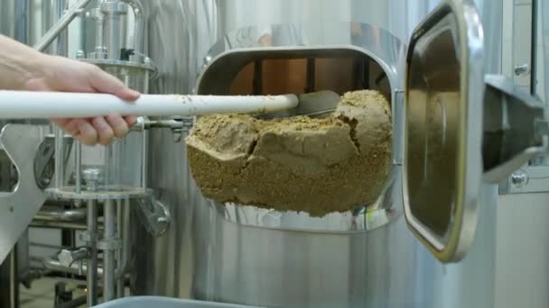 認識できない醸造所の従業員の手のクローズアップショットは ルーターチューンで使用された穀物を落とします — ストック動画