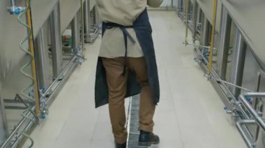 Kıvırcık kırmızı at kuyruklu genç erkek bira fabrikası işçisinin orta eğim arka çekimi. Brite tankları arasında önlükle yürüyor ve dikkatle taze bira fıçısını taşıyor.