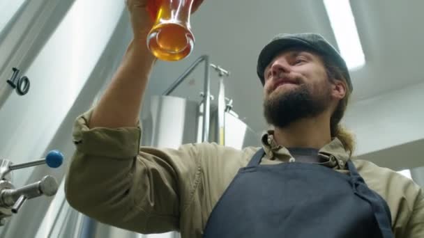 Medio Primer Plano Bajo Ángulo Tiro Joven Barbudo Maestro Cervecero — Vídeo de stock