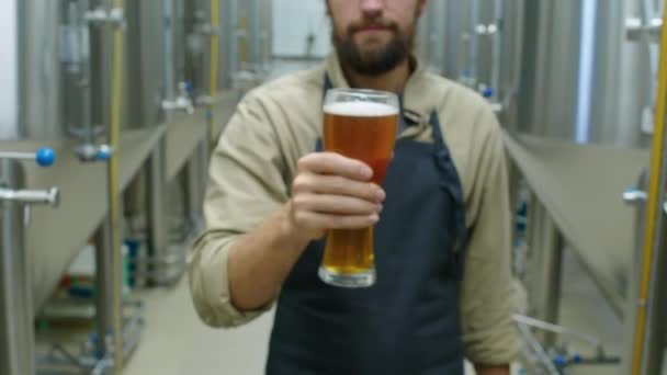 Närbild Bild Hand Anonym Manlig Bryggeritekniker Förkläde Innehav Eller Cider — Stockvideo