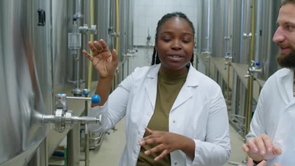 Midjan Upp Skott Afroamerikanska Kvinnliga Hantverk Bryggeri Tekniker Vit Rock — Stockvideo