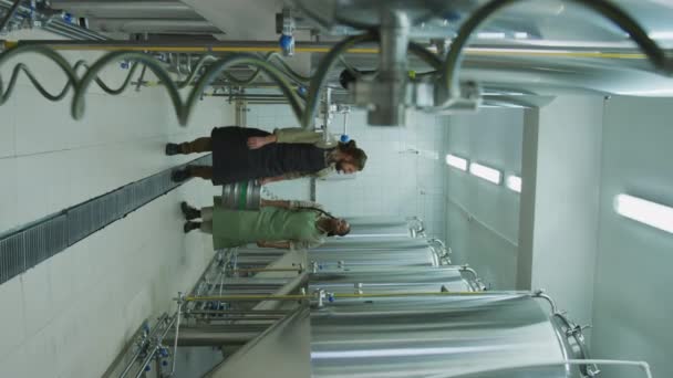 在酿酒厂的钢制发酵罐中 满满一桶啤酒 满满的男女酿酒厂工人欢快的垂直镜头 笑着聊天 — 图库视频影像